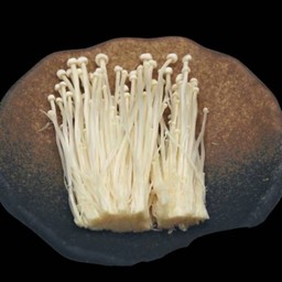 Bv5 เห็ดเข็มทอง Enokitake Mushroom 