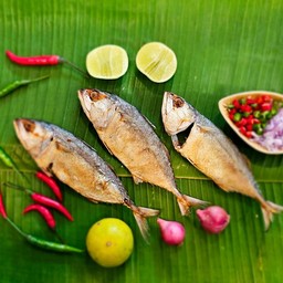 MENU_2932766Fk_1726937281