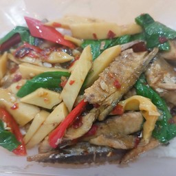 ปลาทูเถื่อนผัดใบโหระพาหน่อไม้ราดข้าว