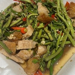 ผัดผักกระเฉด ราดข้าว