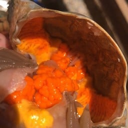 ยำปูไข่ดอง