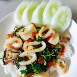 ข้าวกระเพราปลาหมึก