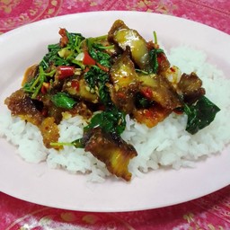 ข้าวกระเพราหมูกรอบ