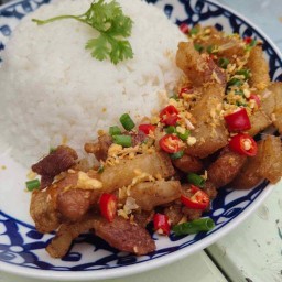 ครัวหลังบ้าน