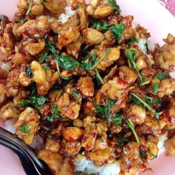 กระเพราเอ็นไก่