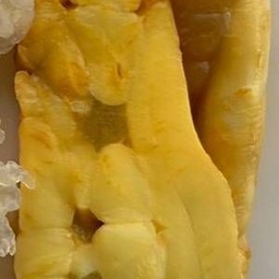 ไข่ปลาหมีกย่าง