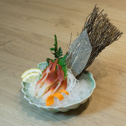 หอยปีกนกซาชิมิ