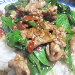 ข้าว+เนื้อผัดพริกสดโหรพา