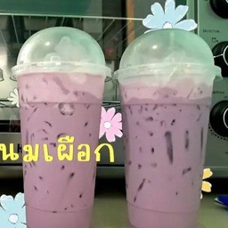 นมเผือก