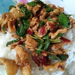กะเพราไก่