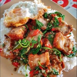 ร้านกระเพราราดข้าว อาารตามสั่ง