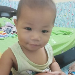 ขัาวผัดกะเพรา