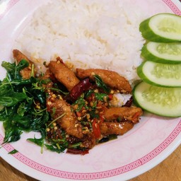 ผัดกะเพราไก่