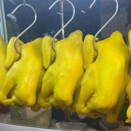 ไก่ต้มน้ำปลา อุดมเดช