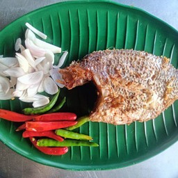 ปลาร้าปลานิลทอด(เป็นตัว)