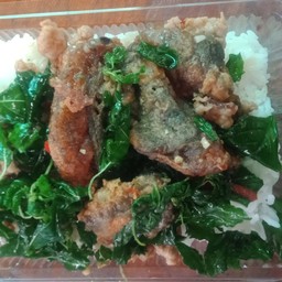 กระเพราไข่เยี่ยวม้าหมูสับ