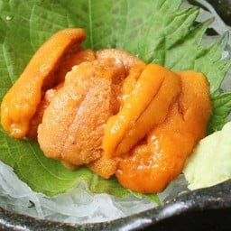 Uni Sashimi ไข่หอยเม่น