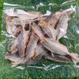 ปลาจวด
