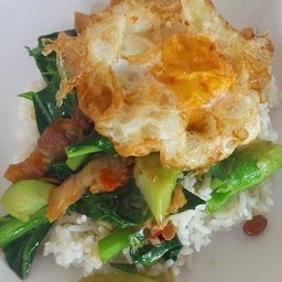 ข้าวคะน้าหมูกรอบ