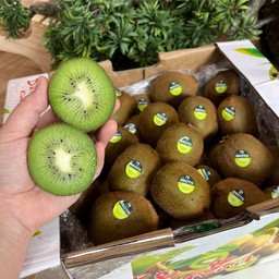 กีวี่เขียว เมืองจีน