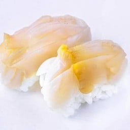 Tsubu gai Nigiri หอยสังข์ญี่ปุ่น