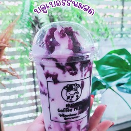 บลูเบอรี่นมสด