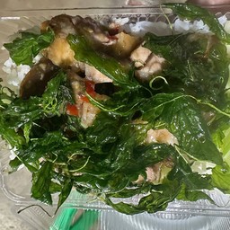 กะเพราหมูกรอบไข่เยี่ยวม้าราดข้าว(กะเพราทอด)