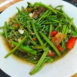 กะเฉดไฟแดง