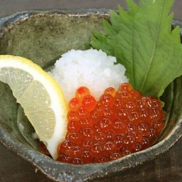 Ikura Oroshi  ไข่ปลาแซลมอนกับหัวไชเท้าฝน