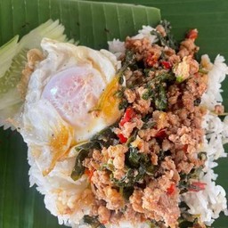 ข้าวผัดใบกะเพราหมู