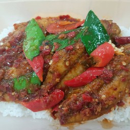 ผัดพริกแกงปลาทูเถื่อน (ราดข้าว)
