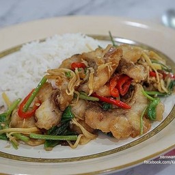 ข้าวราดเนื้อปลากระพงทอดผัดคึ่นฉ่าย