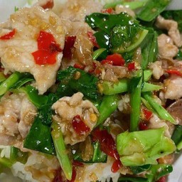 ข้าวราดคะน้าหมูชิ้น