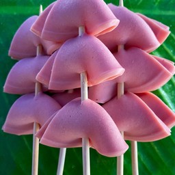 โบโลน่า