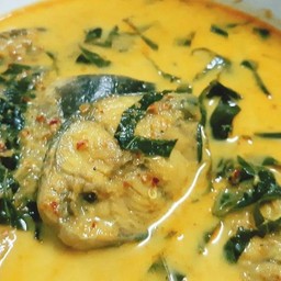 แกงปลาดุกใบยี่หร่า