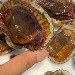 หอยแครง