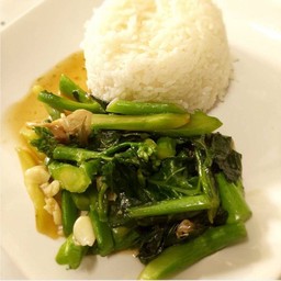 ข้าวราดผัดคะน้าน้ำมันหอย