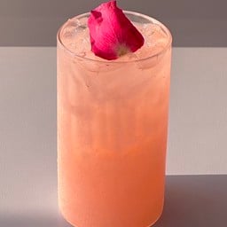 Pixie Rose'