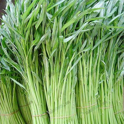 MENU_2959625TP_1727427334