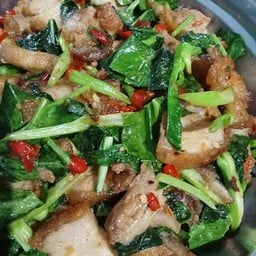 9 ลมโชย อาหารตามสั่งและเครื่องดื่ม ก๋วยเตี๋ยวไก่ตุ๋นมะระ