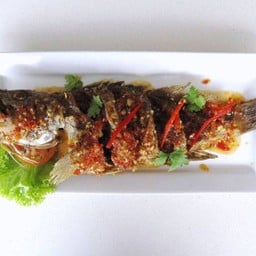 ปลากระพงสามรส