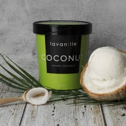 Young Coconut Sorbet 480 ml.