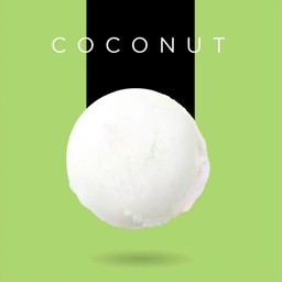Young Coconut Sorbet Cup 100 ml.