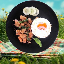 กะเพรา ปลา ดอลลี่