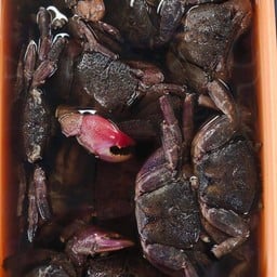 ปูดอง