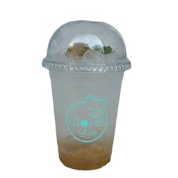 บ๊วยโซดา