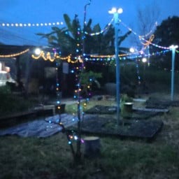 Milk Coffee & restaurant หน้าเอก อพาทเมนท์ จังหวัดฉะเชิงเทรา