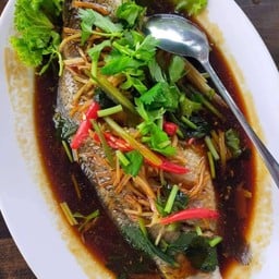 ปลากะพงนึ่งซีอิ้ว