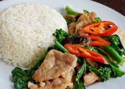 คะน้าหมูชิ้นราดข้าว