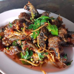 ข้าวราดปลาดุกผัดพริกแกง